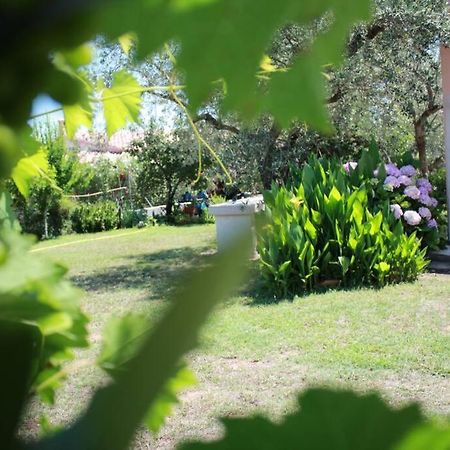 Villa Di Campagna Vicino Al Mare Орозеи Екстериор снимка