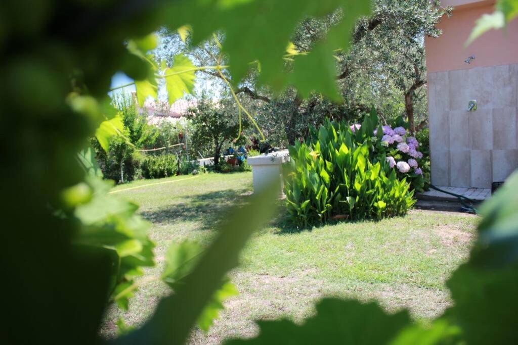 Villa Di Campagna Vicino Al Mare Орозеи Екстериор снимка