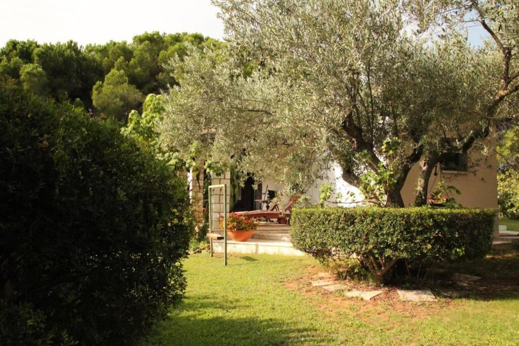 Villa Di Campagna Vicino Al Mare Орозеи Екстериор снимка